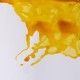 CANARY YELLOW 